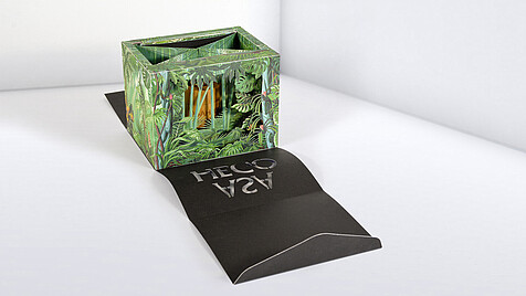 Cosmeics packaging with case for ASAHEGO