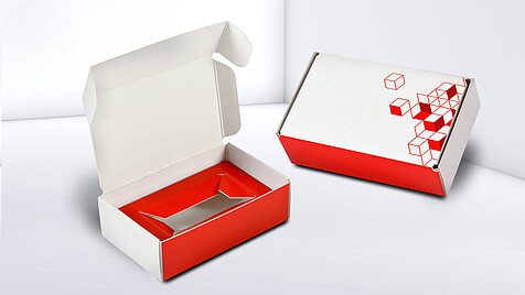 Hinged-lid packaging